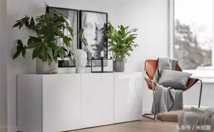 夏季植物晒伤怎么缓解,夏季炎热中暑如何自救