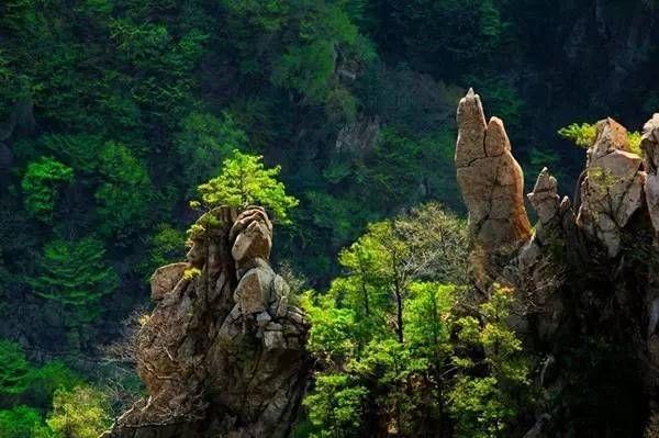 河南省内避暑自驾游,河南避暑玩水的地方