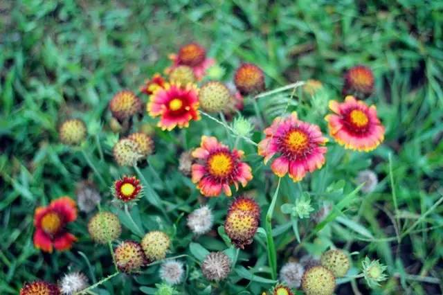 不用签证的岛,出国便宜又好玩距离最近的海岛