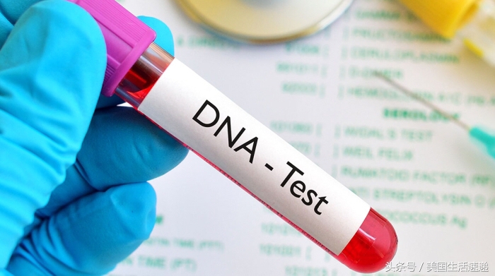 潘朵拉的盒子神奇之处,潘多拉的盒子怎么样