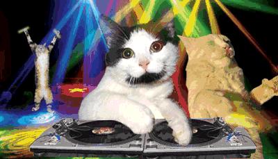 确实有用的护肤品,用一次就入坑的好用护肤品推荐