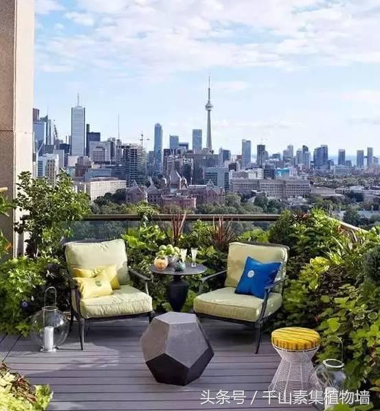 她用三年时间打造了一片露台花海,露台打造花海