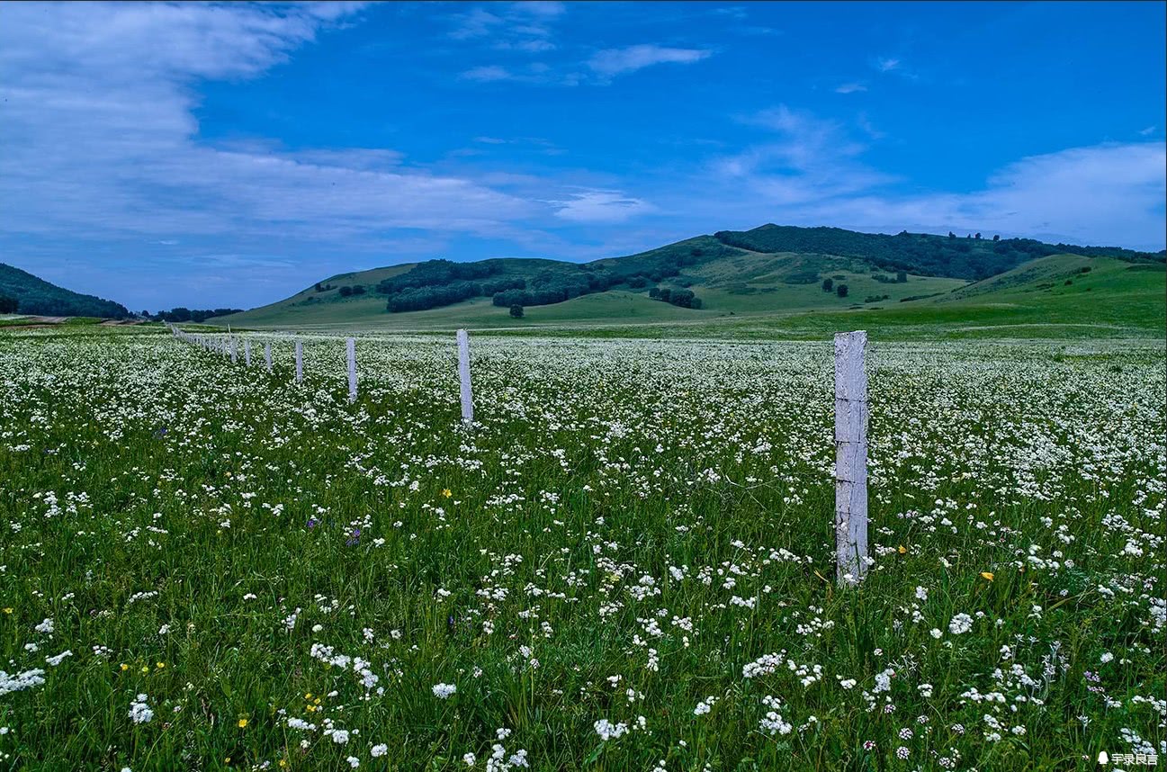 正能量文章搞笑的句子短句,有深度有品味的句子发朋友圈搞笑