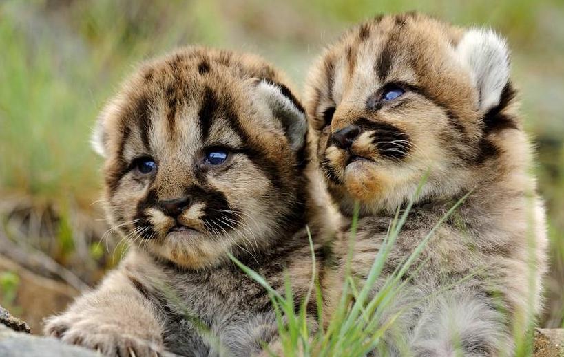 农村俗语“六七不吃家常饭，单等女儿摆酒宴”啥意思？有道理吗？