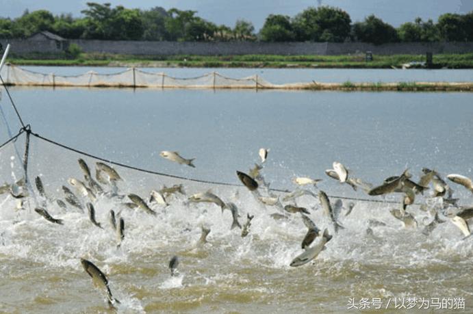 专科就业前景好还容易学的专业,就业前途较好的专科专业