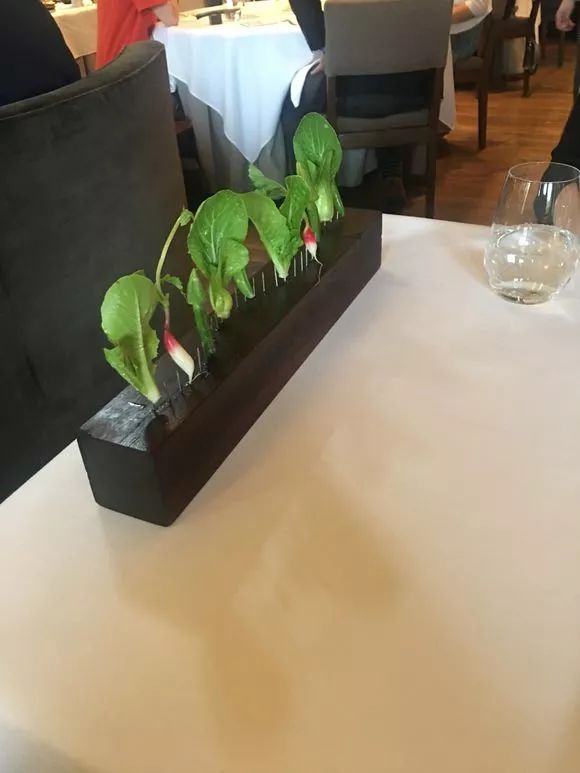 这家奇葩餐厅“坑”了中国食客,却征服了米其林食探,连奥巴马夫妇都是它的粉丝!