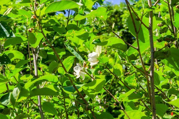 涓囧瓧鏀荤暐,涓囧瓧瑙ｆ瀽鏀荤暐