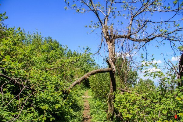 抚顺攻略,抚顺深度游攻略游记