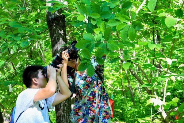 抚顺攻略,抚顺深度游攻略游记