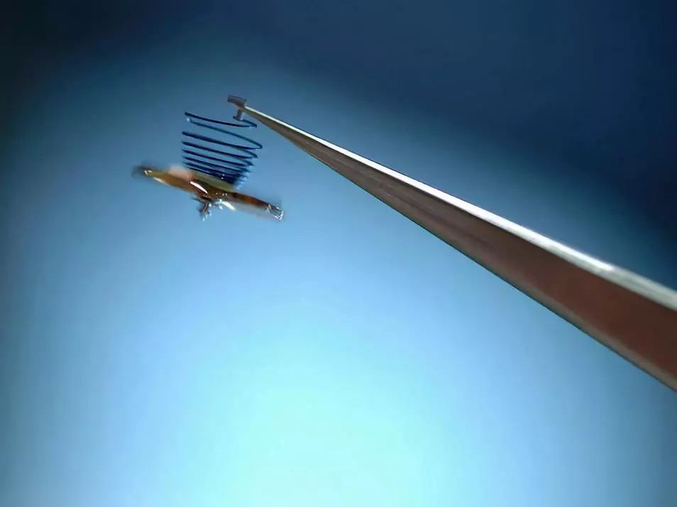 百达翡丽手表为何产地国内,瑞孚名表百达翡丽