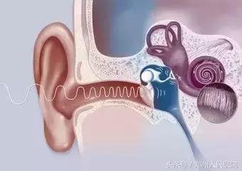 耳朵听不清声音嗡嗡的,耳朵听不清里面嗡嗡响