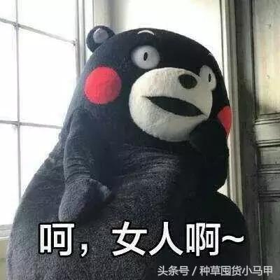 比nars还贵的粉饼,比nars还便宜的化妆品牌