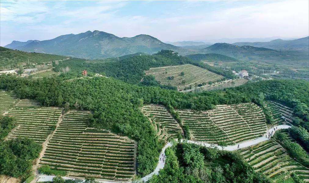 2018中国五莲·海青首届茶山自行车拉力赛在海青圆满落幕!