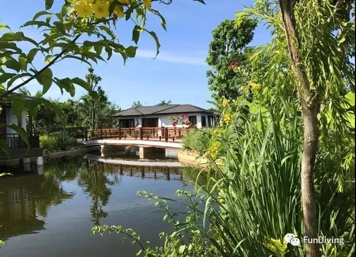 醉爱自驾游,醉爱越南