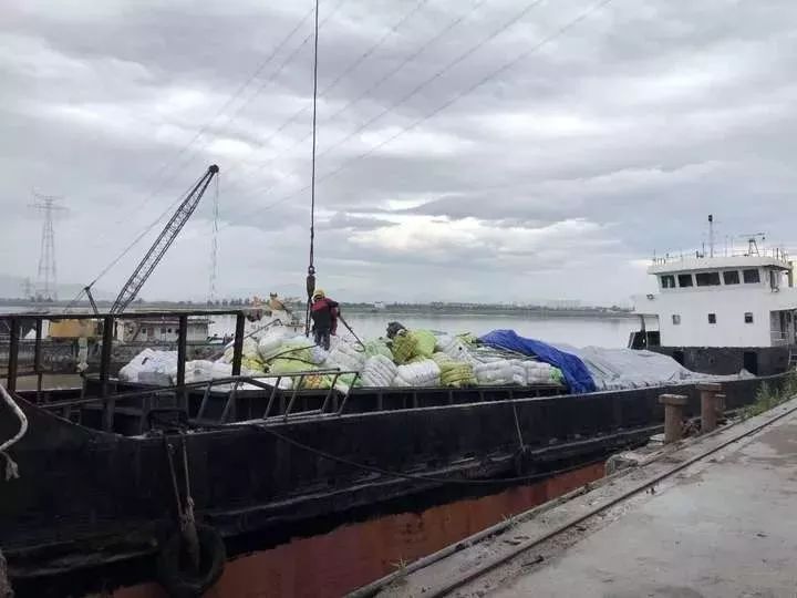 恶心！数百吨韩国人扔掉的旧衣服在浙江被截！你淘来的名牌货，可能暗藏各种细菌