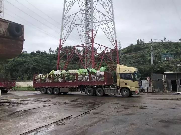 恶臭扑鼻！300吨韩国人扔掉的旧衣服中国被截！看清你淘的名牌货