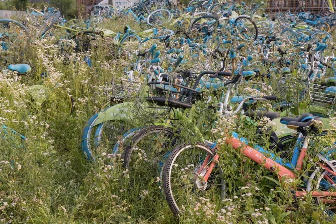 共享单车坟场你见过这样的画面吗,共享单车坟场深度解析