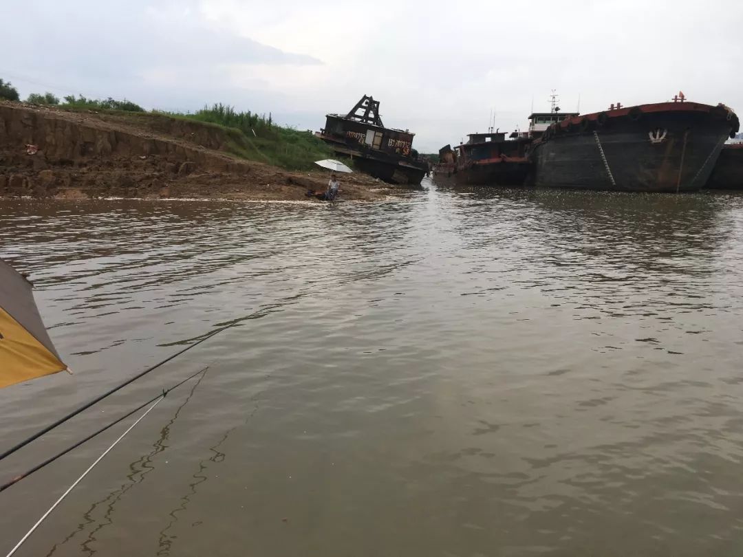 闷热的天钓鱼钓底还是钓浮,闷热天气应该钓深还是钓浅