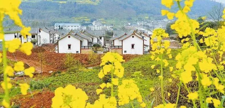 农村致富的100个项目,创业致富项目农村种什么赚钱