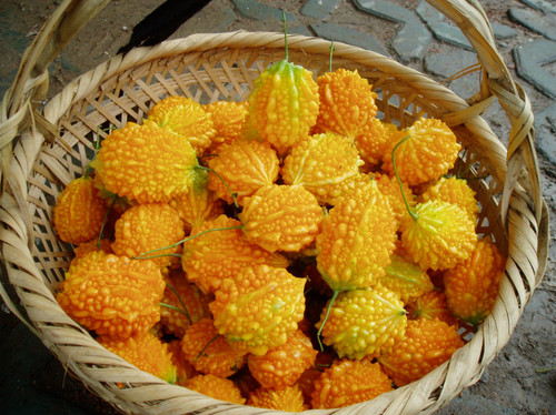 苦瓜一样的果子,和苦瓜很像的一种果子