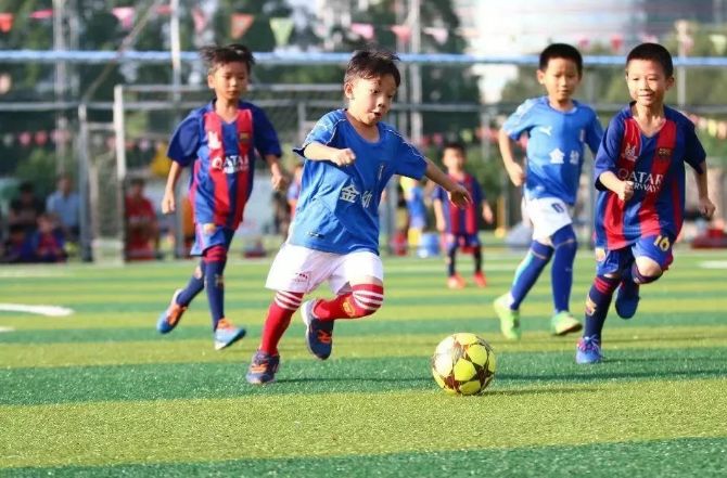 暑期免费篮球排球足球培训班开班,免费学书法公益班