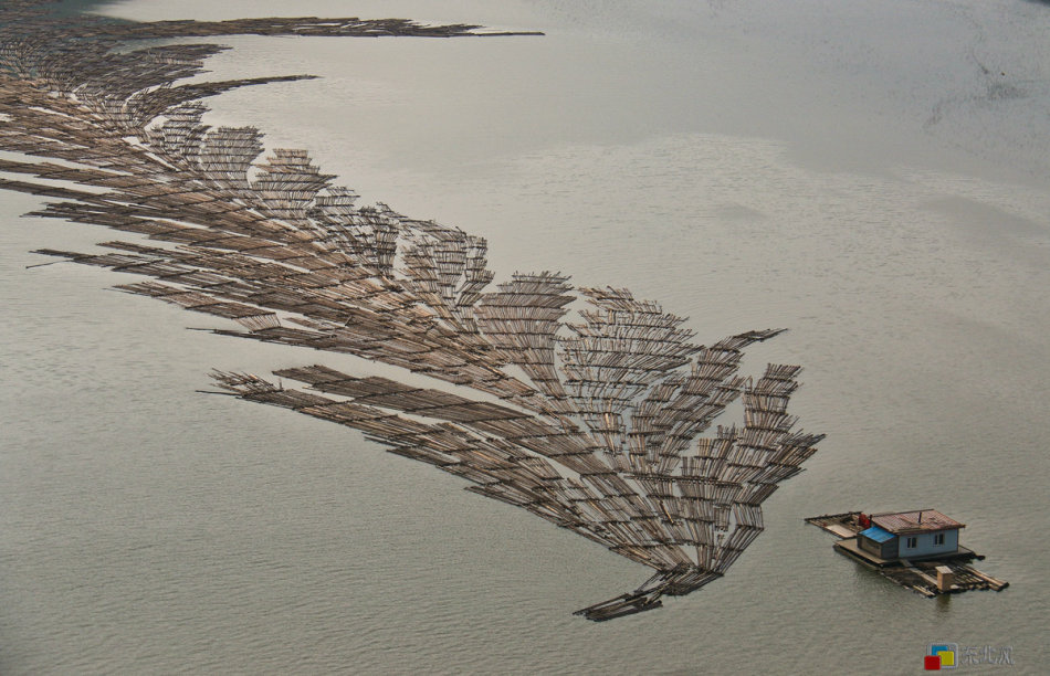 朝鲜百姓这种运输木材的方式，让中国游客感到非常惊讶