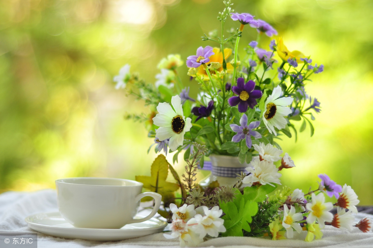 励志早安心语正能量朋友圈短句,早安语录正能量朋友圈简短励志