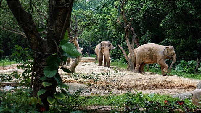 带小孩去长隆欢乐世界畅玩一天,暑假带娃去广州长隆野生动物世界