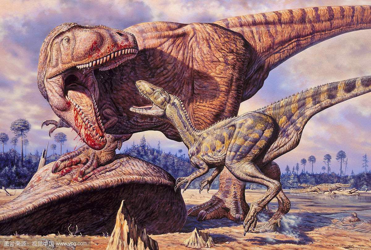 你认识的恐龙有哪些,怎样认识恐龙的种类