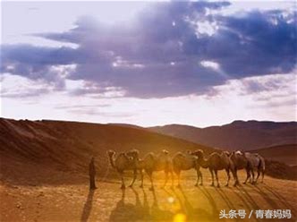 声母d和韵母o的拼读顺口溜,声母和韵母相拼顺口溜歌谣