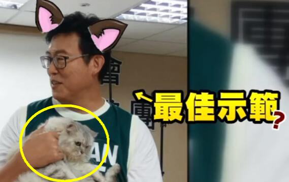 为救选票绿营官员“人仗猫势”遭轰：为私欲不在乎伤害*进党民**
