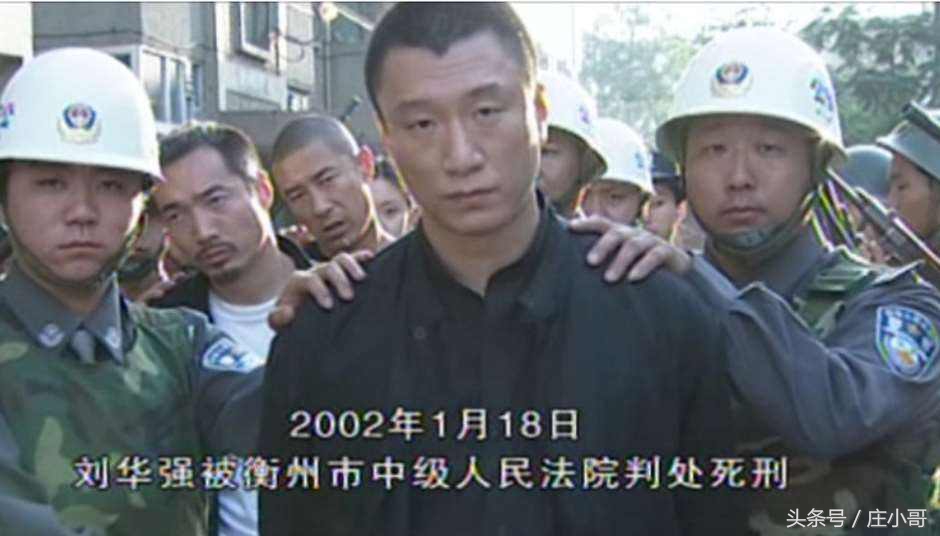 征服一共拍了几部,征服哪一年拍的