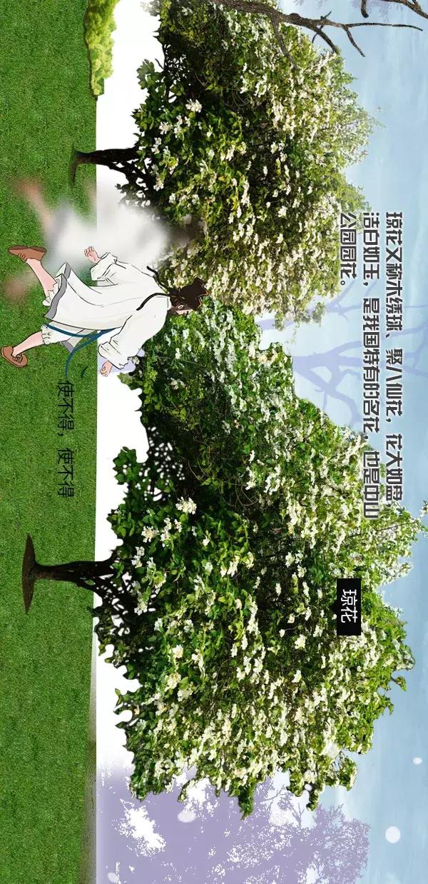 清凉画画法,清凉夏日主题绘画怎么画