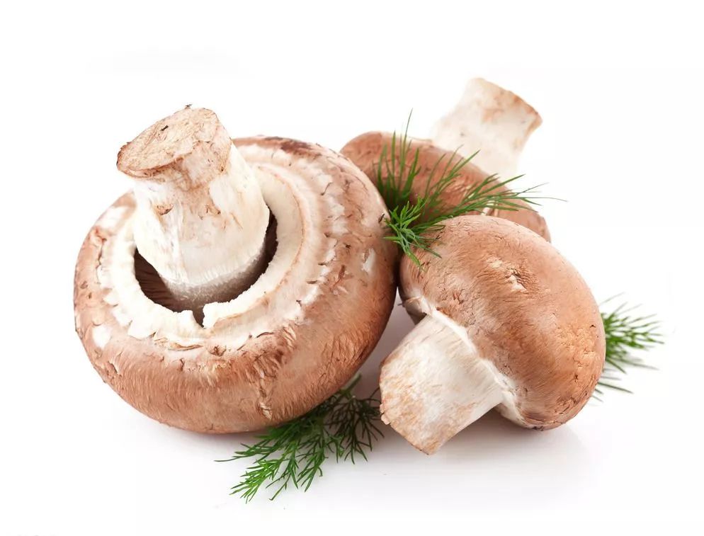 这9种食物是妇科炎症的“天敌”,每天吃一点排毒灭菌!