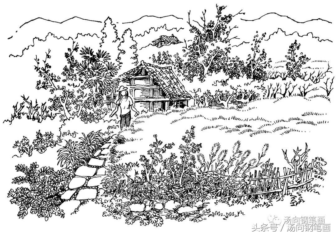 初学画速写需要什么材料,素描速写本适合画什么