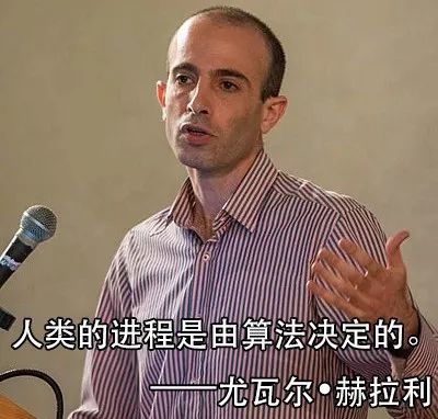 辛苦编码好几年，一朝栽在算法前