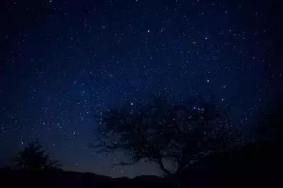 对不起，我劝你千万别去从化，不然会后悔……