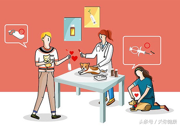 弓形虫是细菌感染吗,弓形虫是寄生虫吗