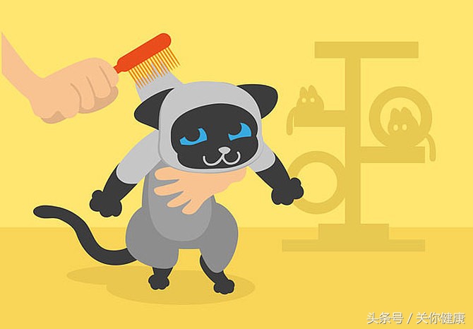 弓形虫是细菌感染吗,弓形虫是寄生虫吗