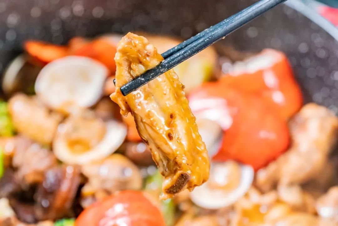 波龙搭配什么最好,波龙和什么混养