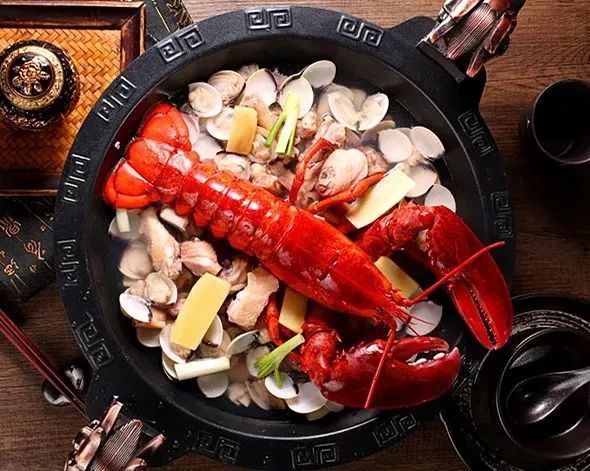 波龙搭配什么最好,波龙和什么混养