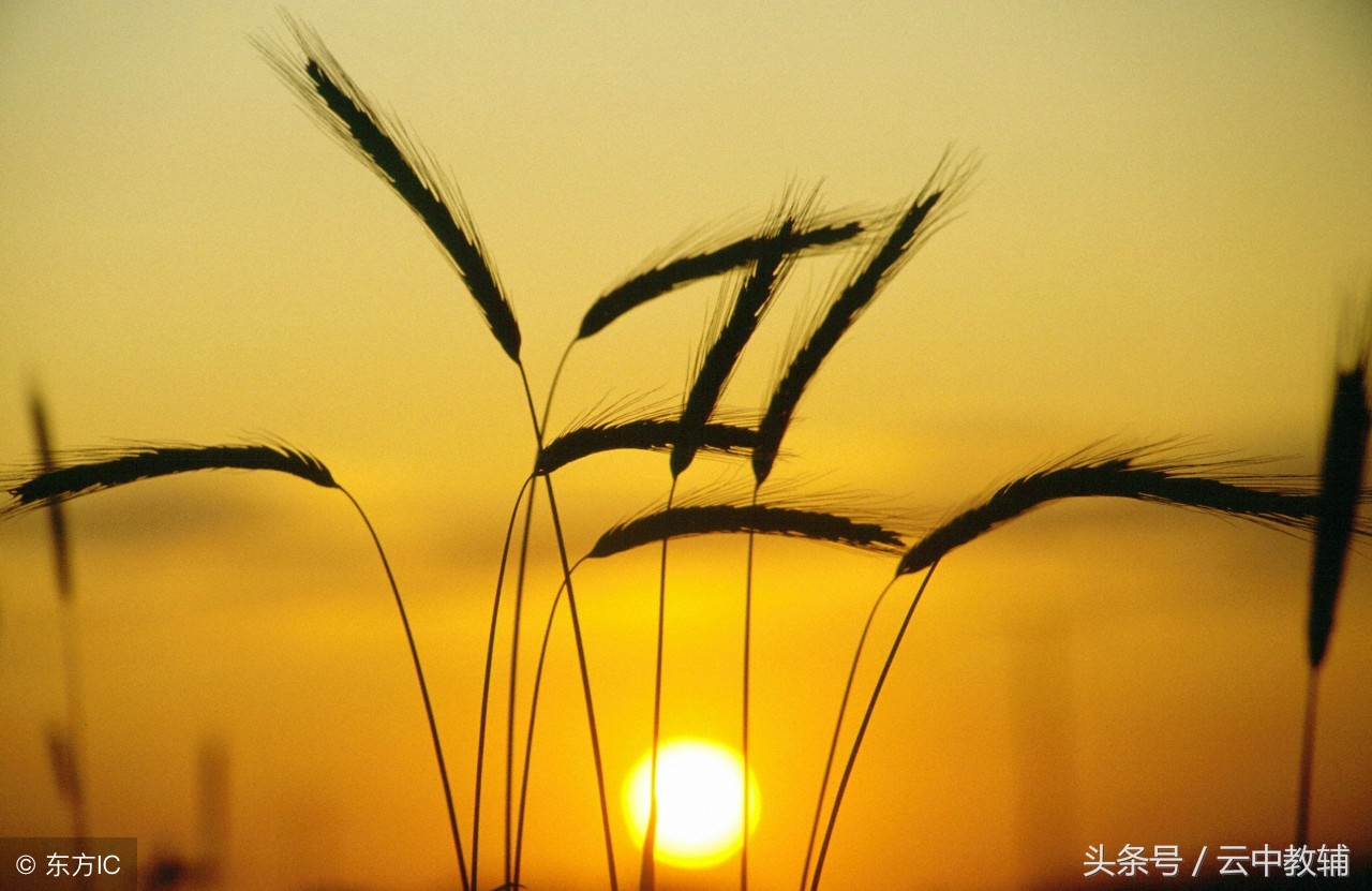 高中生成绩差在家怎么提升,高中生学习成绩比较差该如何选择