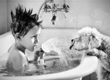 狗狗中暑怎么办最快最有效,狗狗中暑症状和解救方法