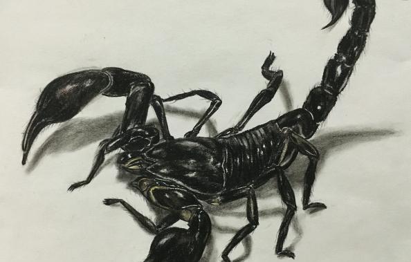 周公解梦：梦到这些场景，预示你将要过上富裕生活，令人羡慕！