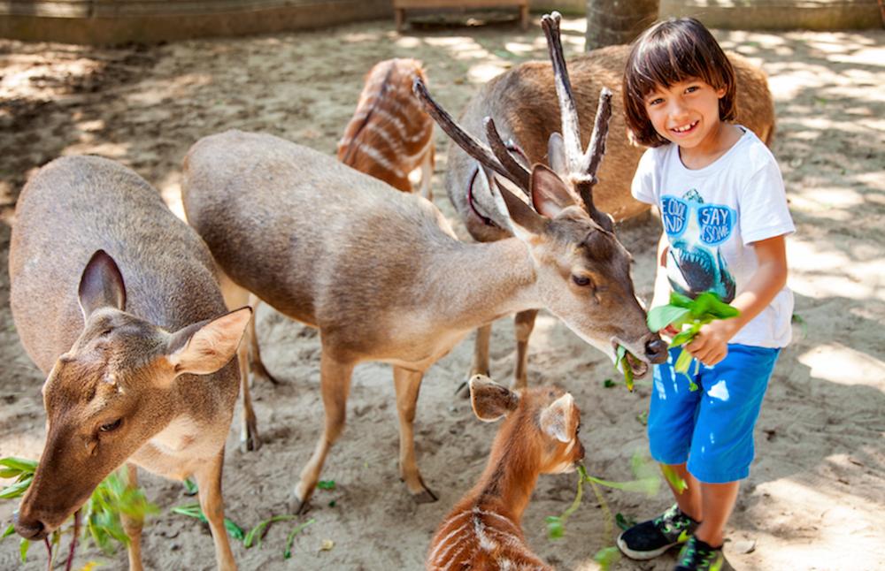 巴厘岛吃喝攻略,巴厘岛闺蜜