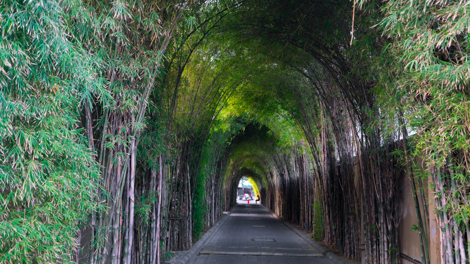巴厘岛吃喝攻略,巴厘岛闺蜜
