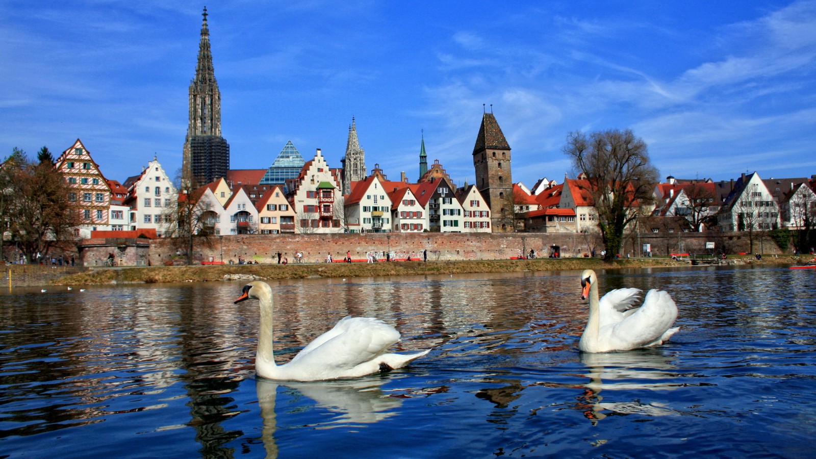 德国街上偶遇茅台酒厂，价格竟然比国内还便宜网友：代购回中国