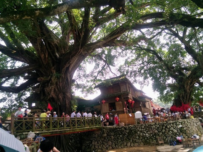 闺蜜厦门游玩拍照姿势,闺蜜厦门行