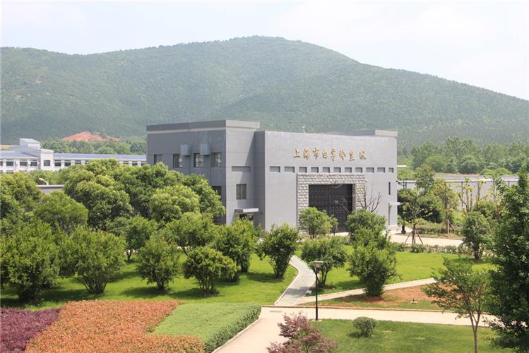 上海最多的飞地,上海为什么拥有这么多飞地