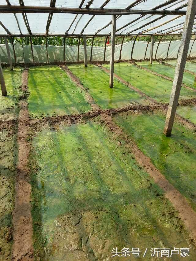 陈锋名师工作室,陈锋老师视频